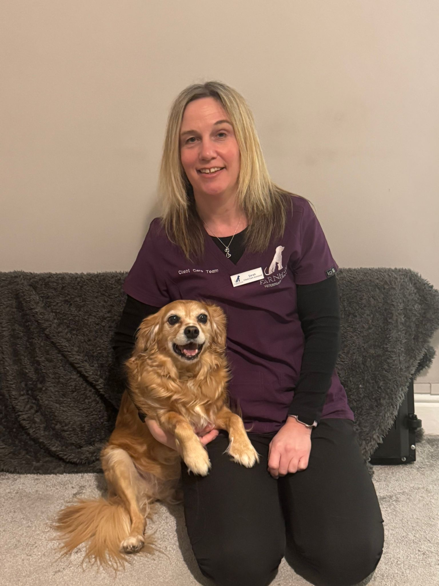 f0f5f1db-4178-4bf5-9faf-d341361ae643