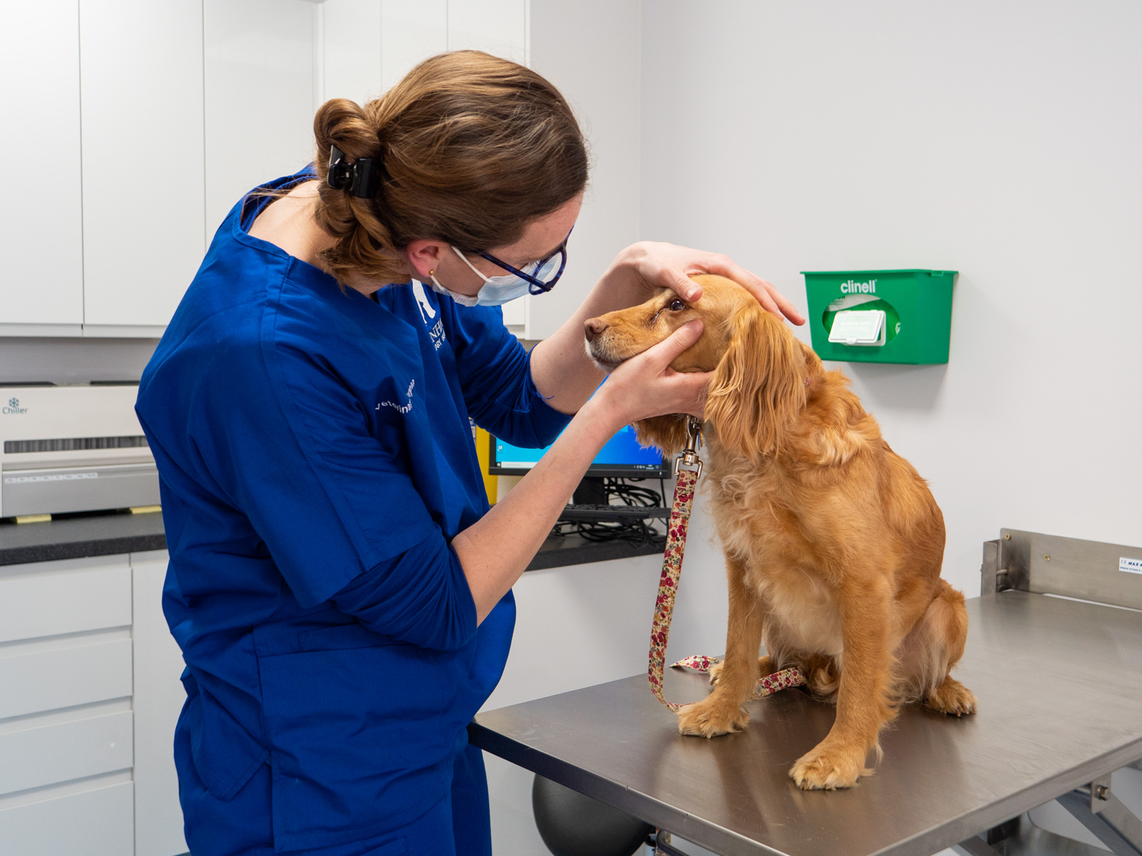 Farnham Vet Hospital (Web)-1033066 (1)